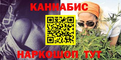 Альфа ПВП Малгобек