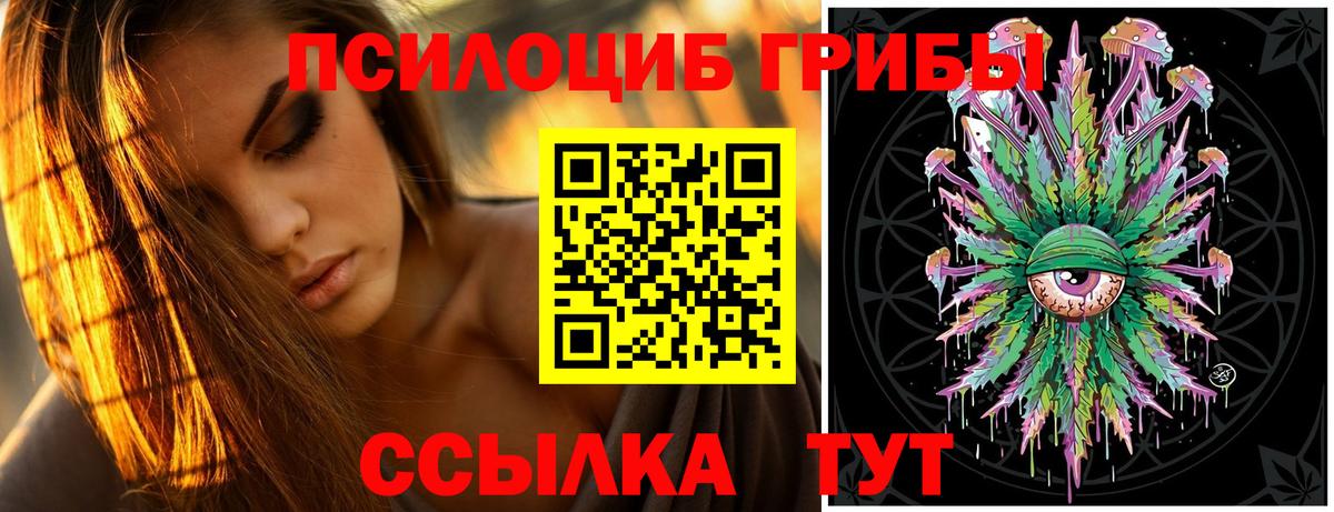 Псилоцибиновые грибы GOLDEN TEACHER Бугуруслан